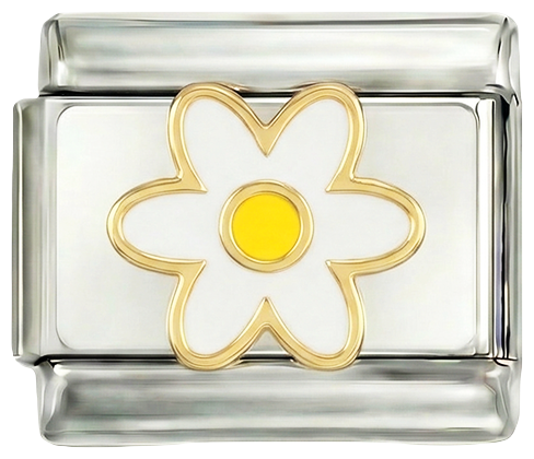 Weißes Gänseblümchen mit seinem gelben Herz