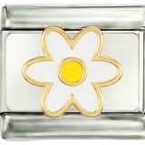Weißes Gänseblümchen mit seinem gelben Herz