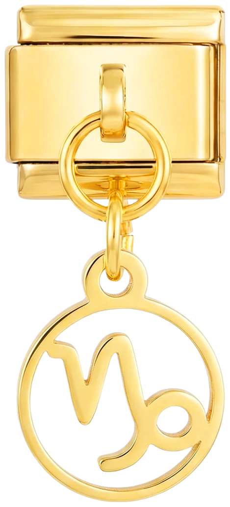 Bild der Folie