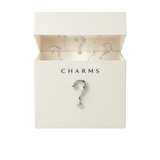 Überraschungsbox (40 Charms)